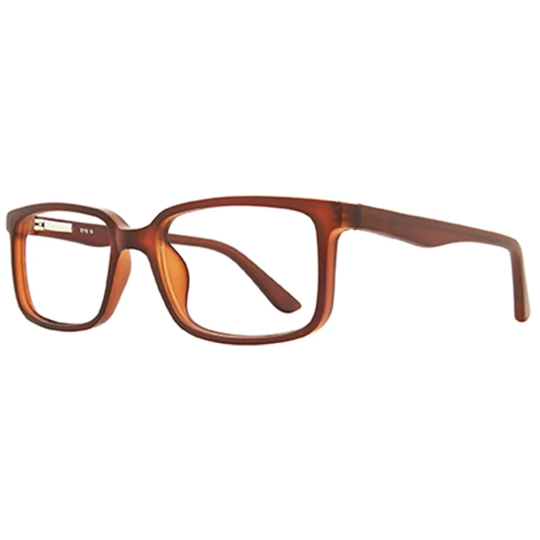 Stylewise Eyeglasses SW234