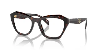 17N1O1 Root Tortoise
