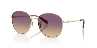 900570 Shiny Light Gold