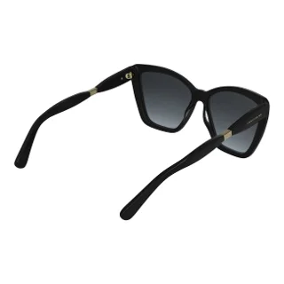 Longchamp Sunglasses LO803S