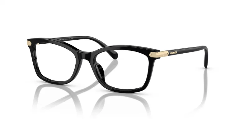 Coach Eyeglasses HC6219U