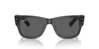 Ray Ban Sunglasses RB0840S