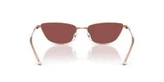 Emporio Armani Sunglasses EA2174B