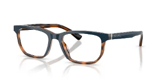 6163 Navy/Tortoise