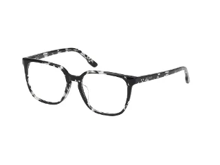 027 Black/Havana / Black/Havana