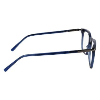 Salvatore Ferragamo Eyeglasses SF3007