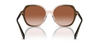 Coach Sunglasses HC8377U