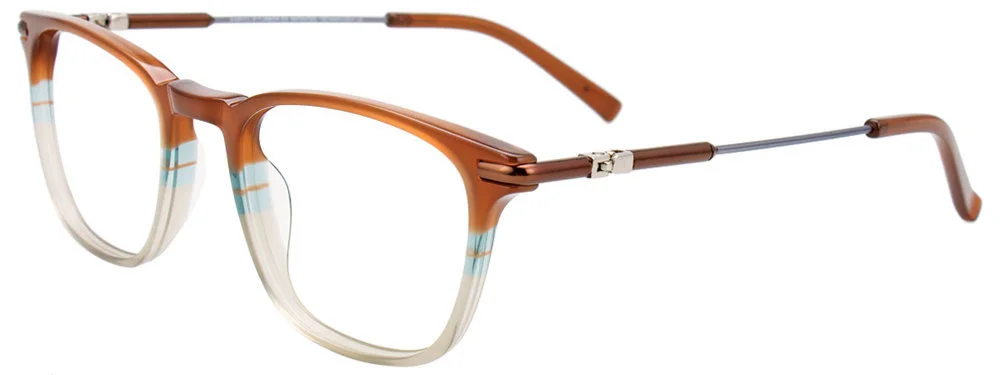 Easyclip Eyeglasses EC580