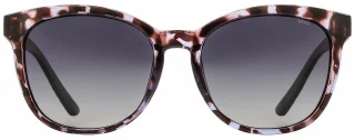 INVU Sunglasses INVU-175