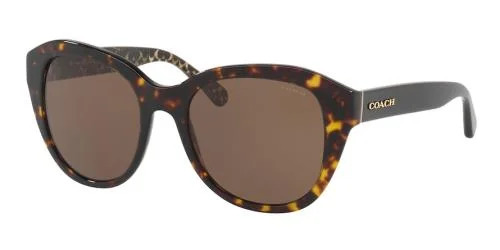 Coach Sunglasses HC8231
