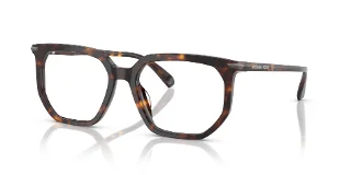 3006 Dark Tortoise