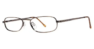 Modern Metals Eyeglasses Loner