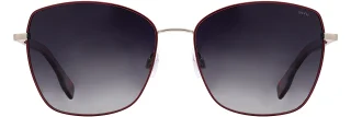 INVU Sunglasses INVU-315