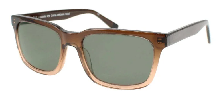 Steve Madden Sunglasses CAVIA