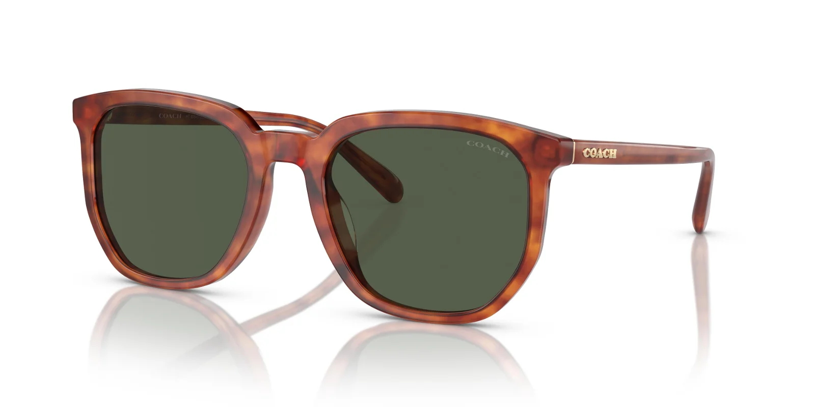 Coach Sunglasses HC8384U