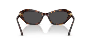 Swarovski Sunglasses SK6048