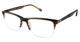C02 Brown Tortoise