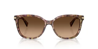 Coach Sunglasses HC8132 L109