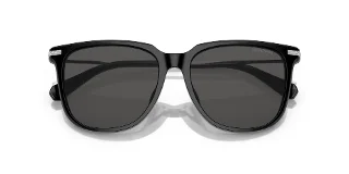Swarovski Sunglasses SK6015D