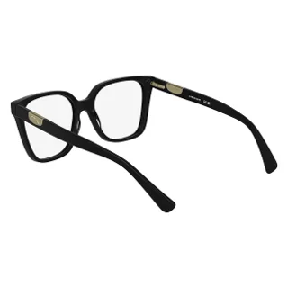 Longchamp Eyeglasses LO2765 N