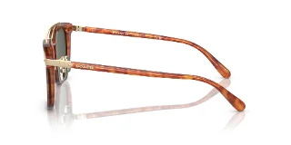 Coach Sunglasses HC8382