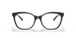 Michael Kors Eyeglasses MK4076U
