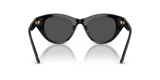 Swarovski Sunglasses SK6025