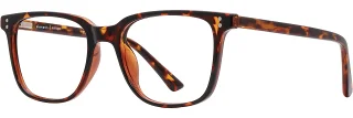 C03 Tortoise