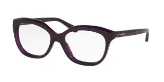 Coach Eyeglasses HC6096F