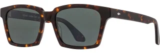 C02 Amber Tortoise
