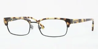 6019 Spotty Tortoise