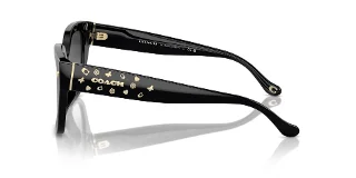 Coach Sunglasses HC8392U