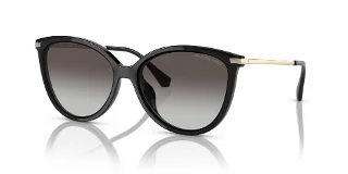 Michael Kors Sunglasses MK2184U