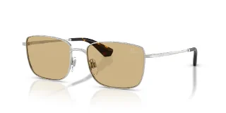100585 Silver