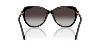Swarovski Sunglasses SK6073