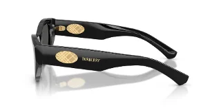 Burberry Sunglasses BE4502F
