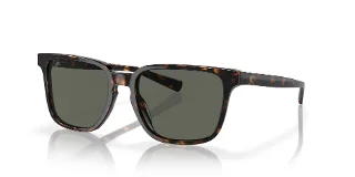 201303 Tortoise