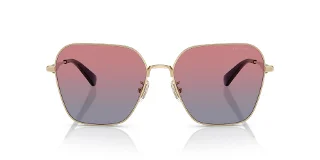 Coach Sunglasses HC7168