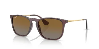 6593T5 Transparent Brown