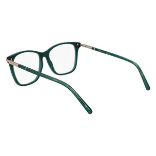 Salvatore Ferragamo Eyeglasses SF3013