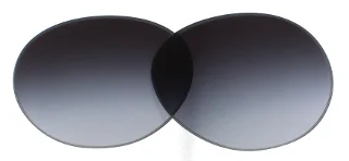 Giorgio Armani Replacement Lenses AR6009