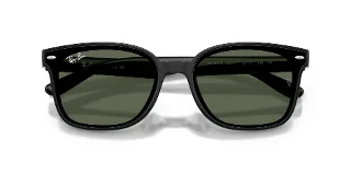 Ray Ban Sunglasses RB4461D