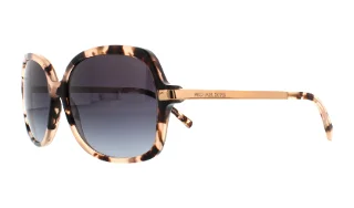 316213 Pink Tortoise