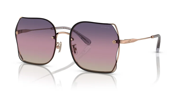 Coach Sunglasses HC7150D