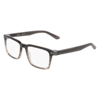 Dragon Eyeglasses DR7015