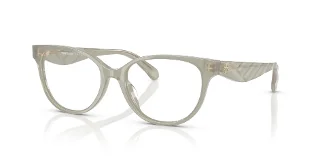 2025 Honey Tortoise