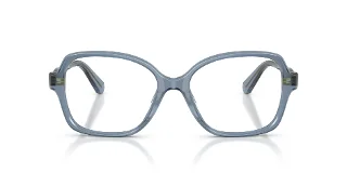 Swarovski Eyeglasses SK2063