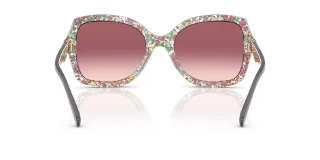 Coach Sunglasses HC8410U