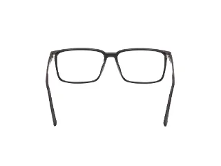 Harley Davidson Eyeglasses HD50021