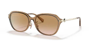 565413 Transparent Brown